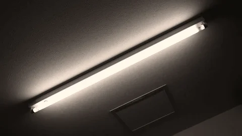Fluorescent Lights